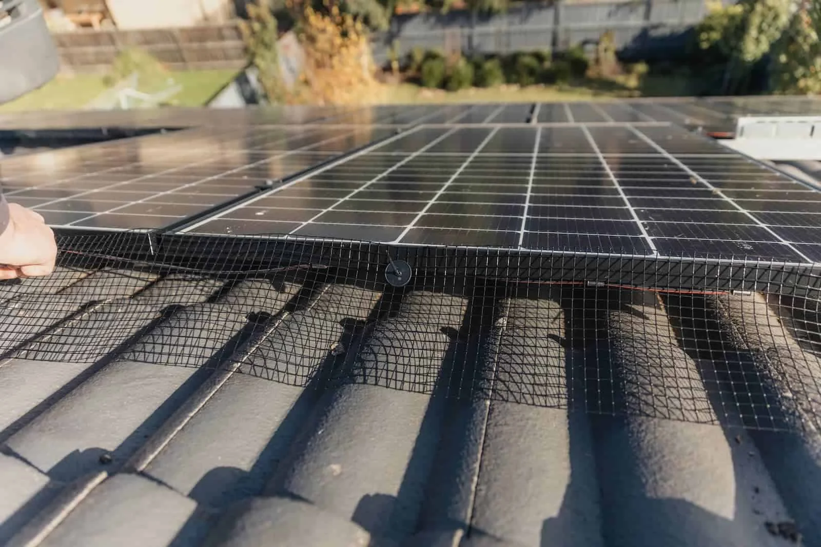 Bird-proofing mesh installed around solar panels